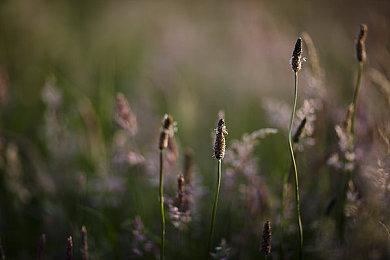 解密游戏《别买这款游戏》上线试玩Demo 暂不支持中文